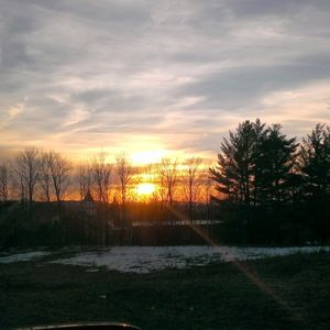 Meet your Posher, Lucy